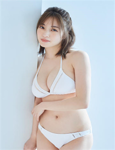 宝岛双雄下载